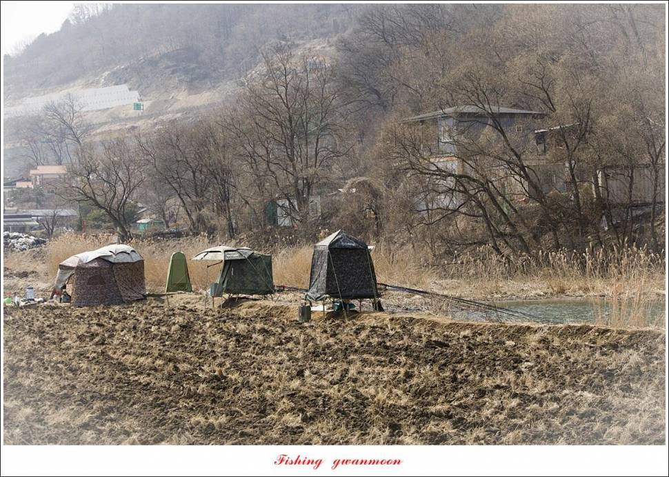 두무소화곡지 조황 (조황조행기 - 특파원조황)