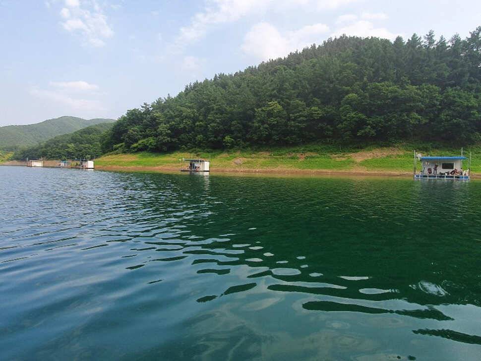 목벌 내림수위에 대물붕어 대물장어 조황입니다 (조황조행기 - 특파원조황)
