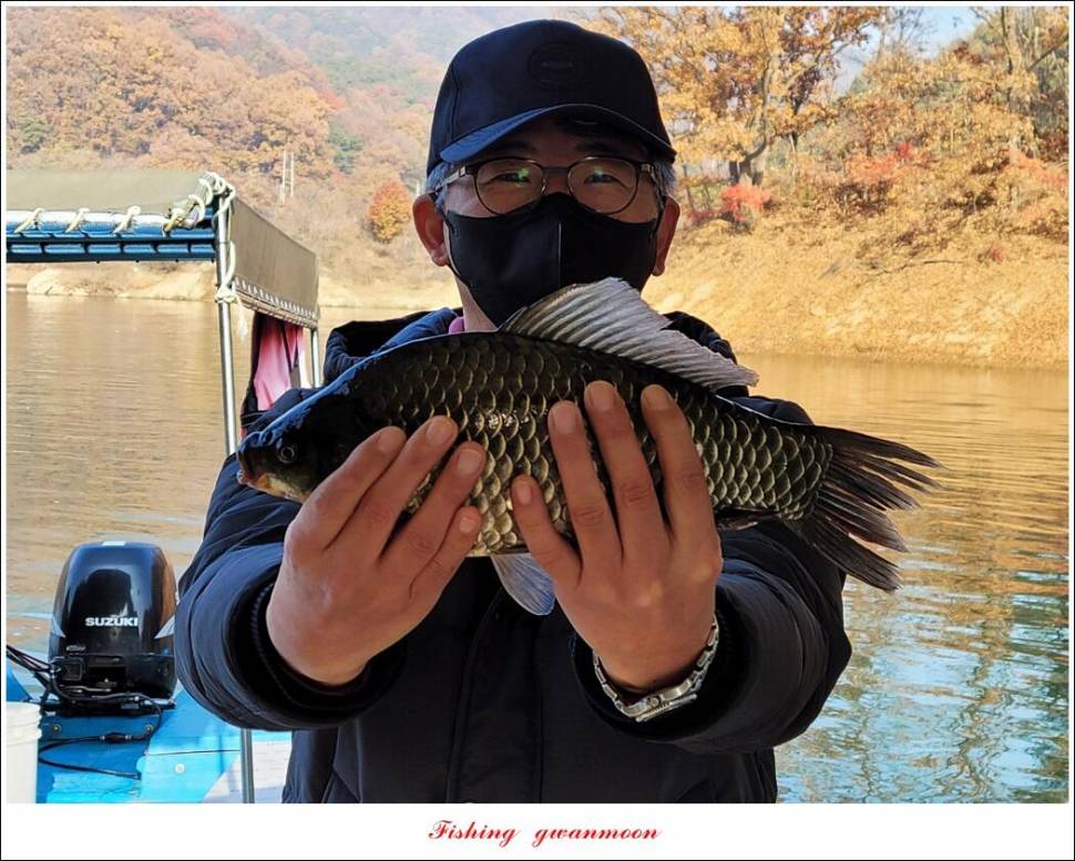 목벌 42 cm신리 41 cm408 cm실리곡 39 cm38 cm대물 조황 (조황조행기 - 특파원조황)