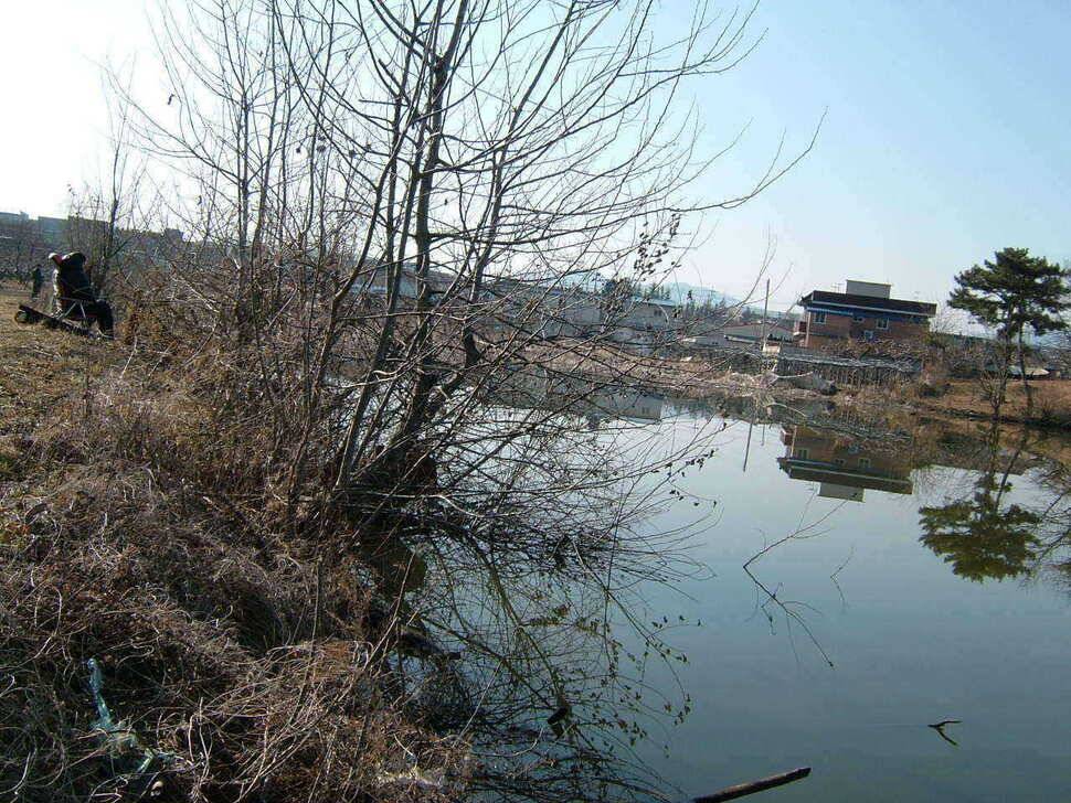 311 완제지지난주보다 조황이 떨어졌지만 (조황조행기 - 특파원조황)