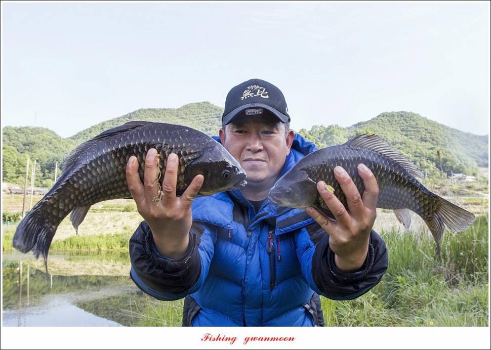 목벌 43 cm37 cm소류지 4 짜솔 낚시터 월척화곡지 대물 조황 (조황조행기 - 특파원조황)