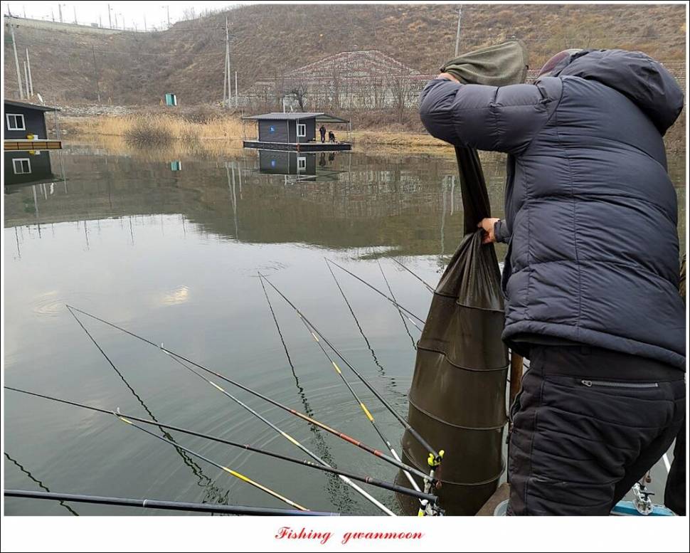 화곡지 4 짜 및 월척 조황 (조황조행기 - 특파원조황)