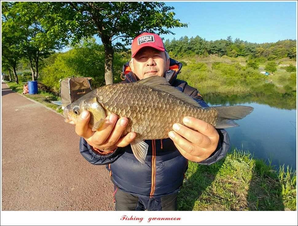칠성지 45 cm405 cm40 cm대물 조황 (조황조행기 - 특파원조황)