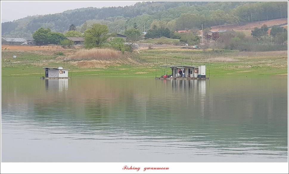 한버들 4 짜신리 4 짜실리곡 4 짜대물 조황 (조황조행기 - 특파원조황)