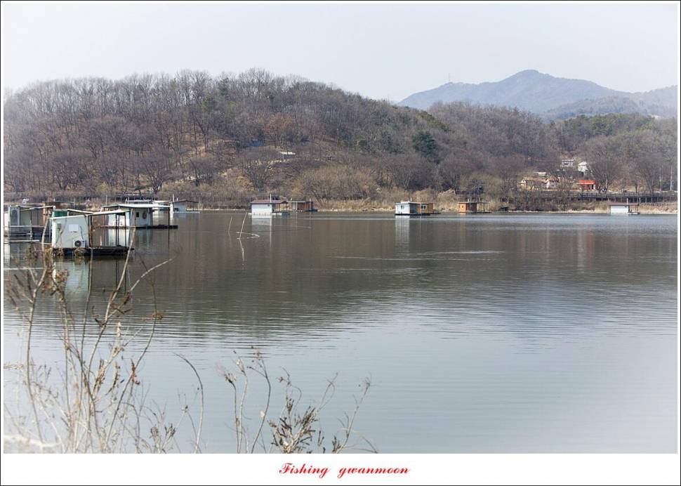 두무소화곡지 조황 (조황조행기 - 특파원조황)