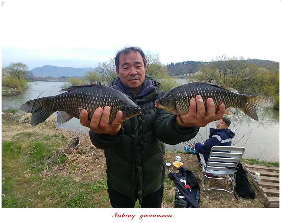 화곡지 사짜칠성지갈마늪대제지추평지 조황 (조황조행기 - 특파원조황)