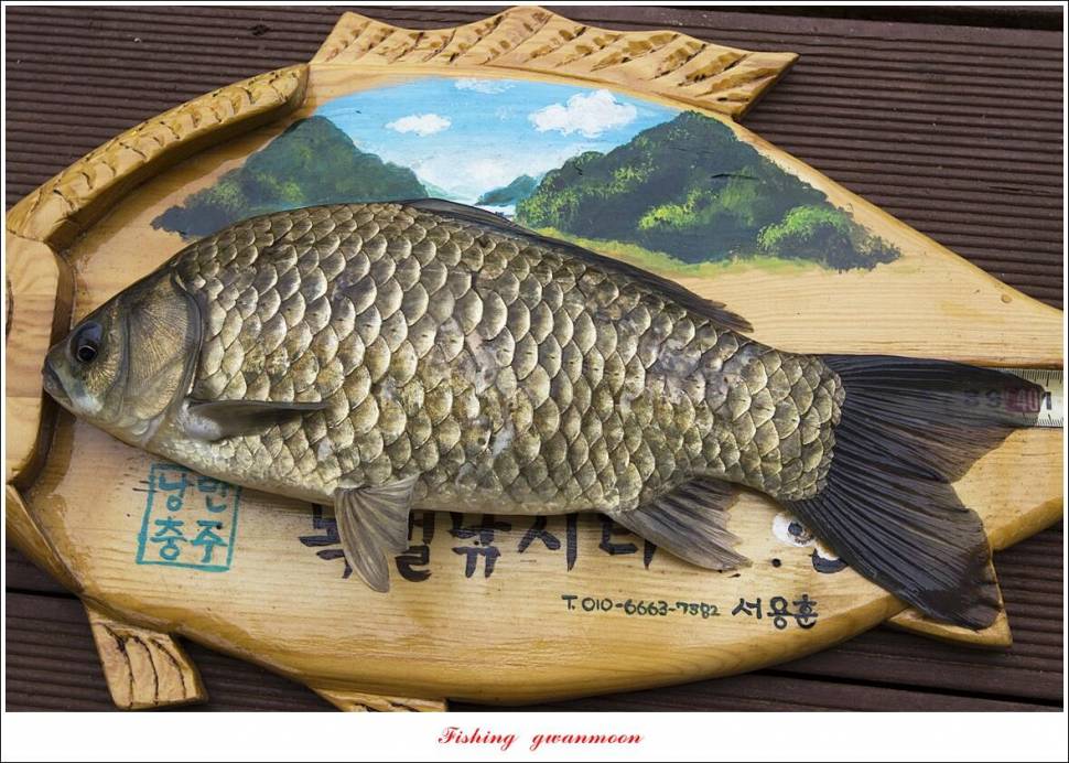 목벌 4 짜 조황 (조황조행기 - 특파원조황)