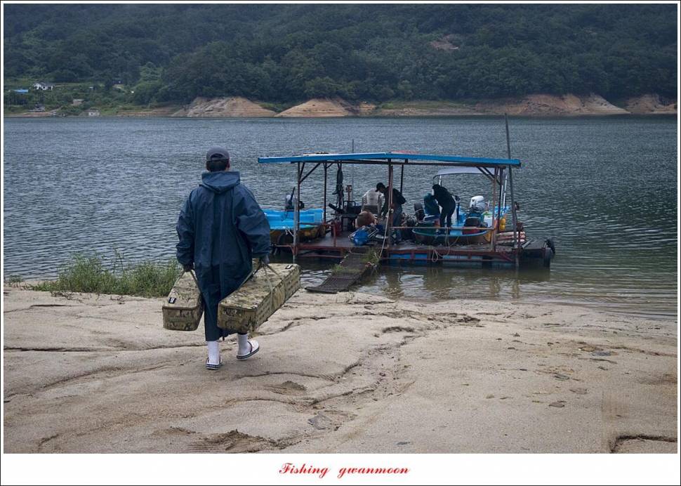 충주호 오름수위화곡지 조황 (조황조행기 - 특파원조황)