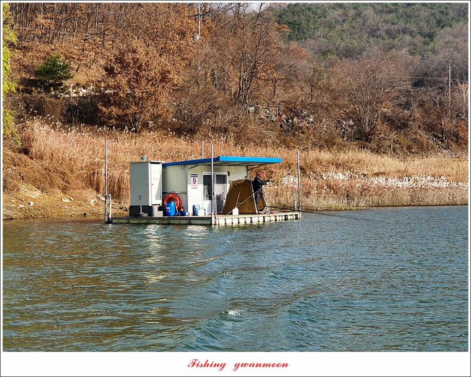 실리곡 4 짜신리 4 짜노지 4 짜 조황 (조황조행기 - 특파원조황)