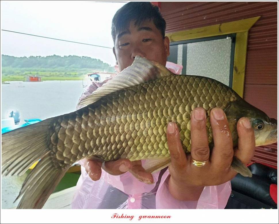 제일 4 짜 마릿수소이지 4 짜추평지 조황 (조황조행기 - 특파원조황)