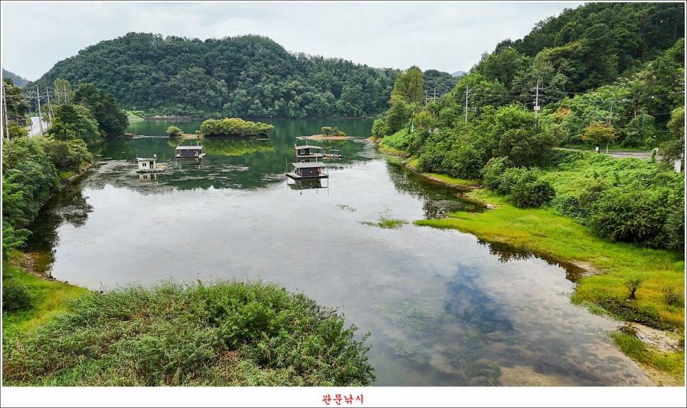 남한강달천강화곡지용원지 조황 (조황조행기 - 특파원조황)