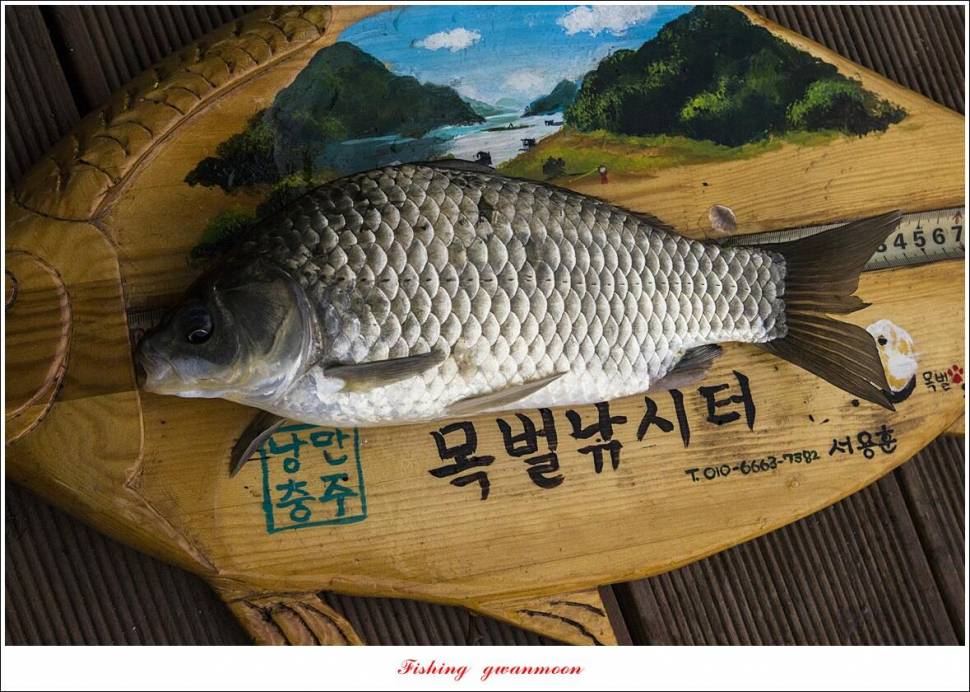 목벌 4 짜 행진 (조황조행기 - 특파원조황)