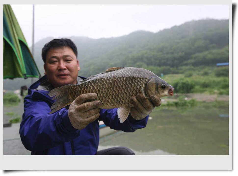 충주호 명서 4짜소식 (조황조행기 - 특파원조황)