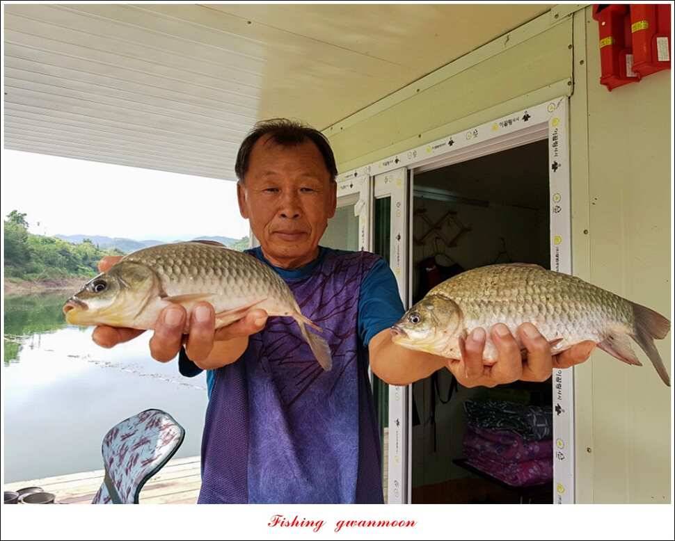 실리곡화곡지기타 조황 소식 (조황조행기 - 특파원조황)