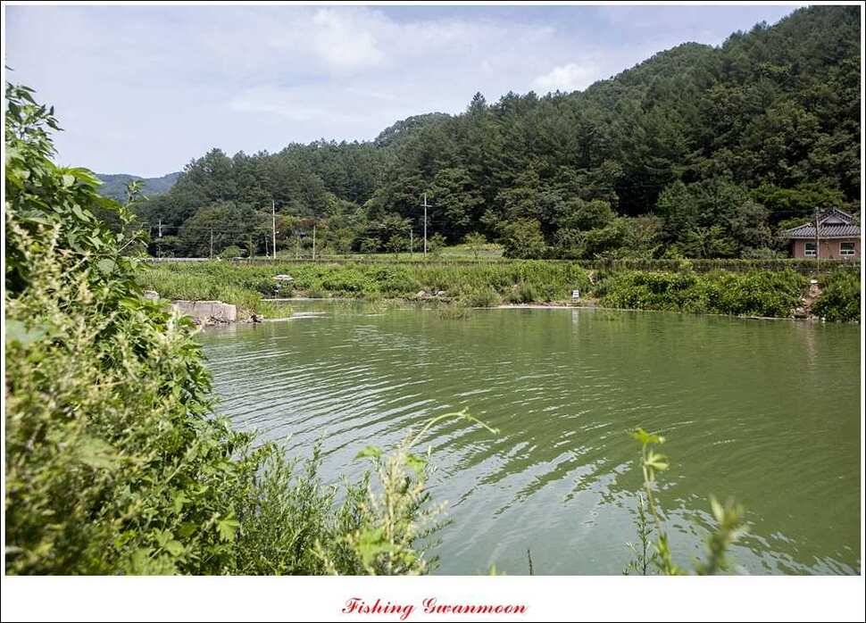 명서 사짜추평지 사짜 (조황조행기 - 특파원조황)