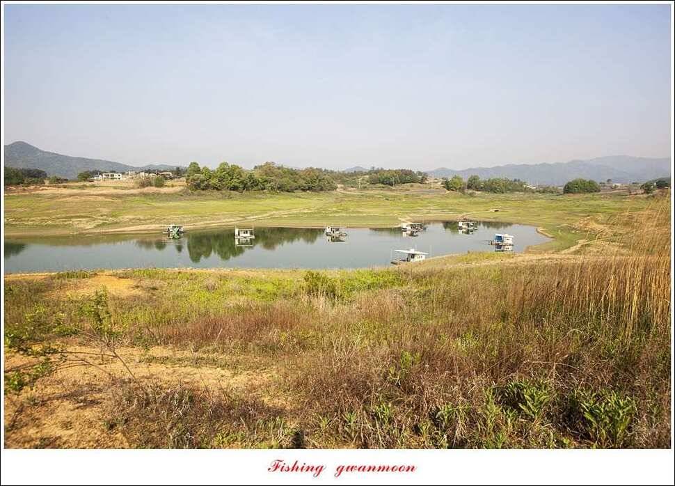 한버들실리곡 월척 행진 (조황조행기 - 특파원조황)
