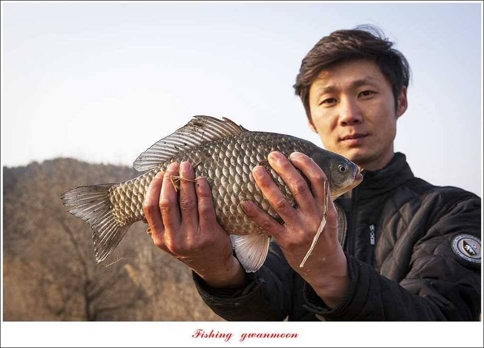 충주괴산권 조황 (조황조행기 - 특파원조황)