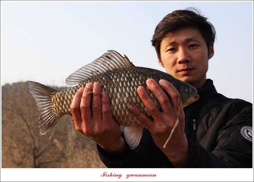 충주괴산권 조황 (조황조행기 - 특파원조황)