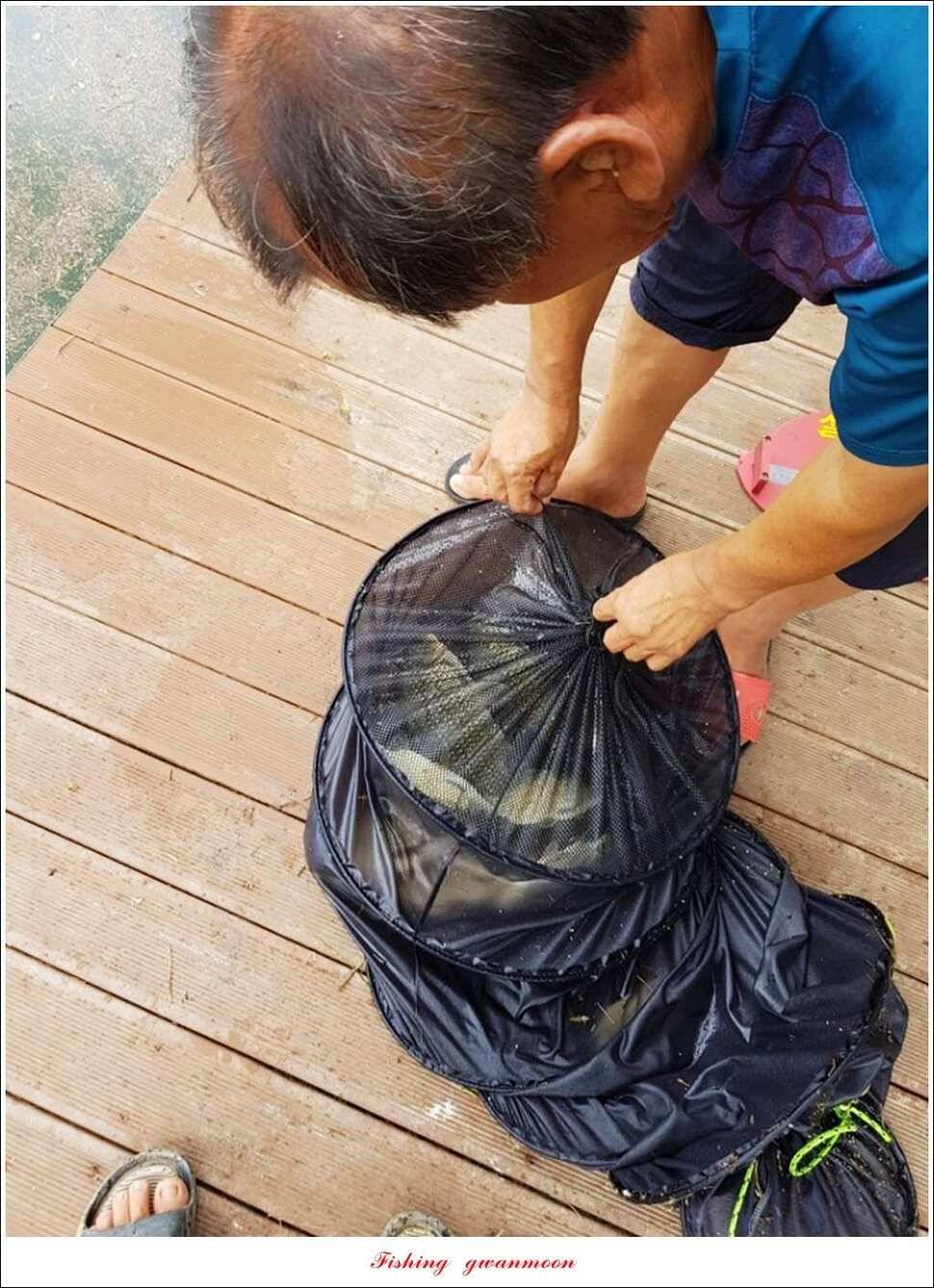 한버들 395 cm실리곡화곡지 마릿수 월척 조황 (조황조행기 - 특파원조황)