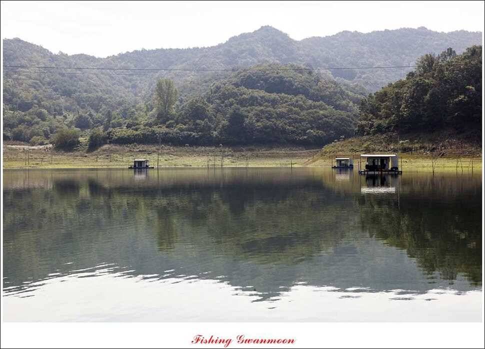 한버들실리곡돌감짱가네 조황 (조황조행기 - 특파원조황)