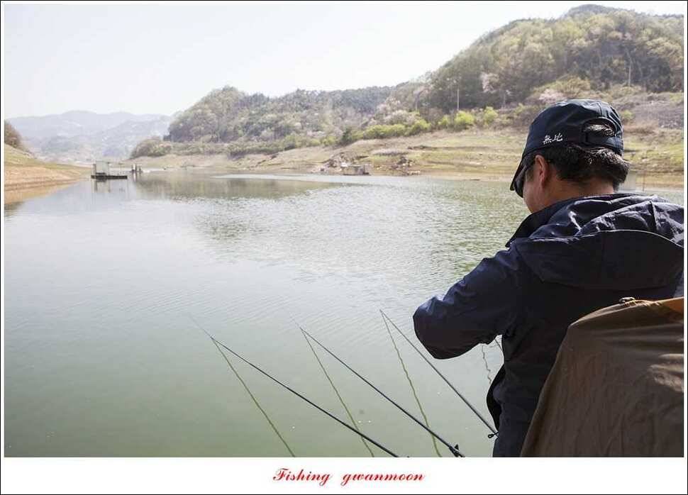 실리곡 월척화곡지 사짜달천강 대물 조황 (조황조행기 - 특파원조황)