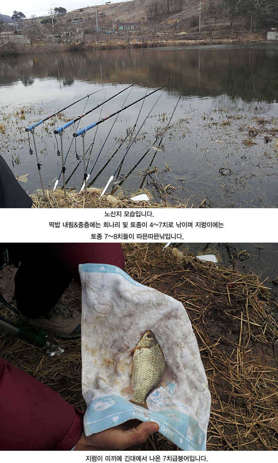 청도권 본격적인 밤낚시 시즌입니다 (조황조행기 - 특파원조황)