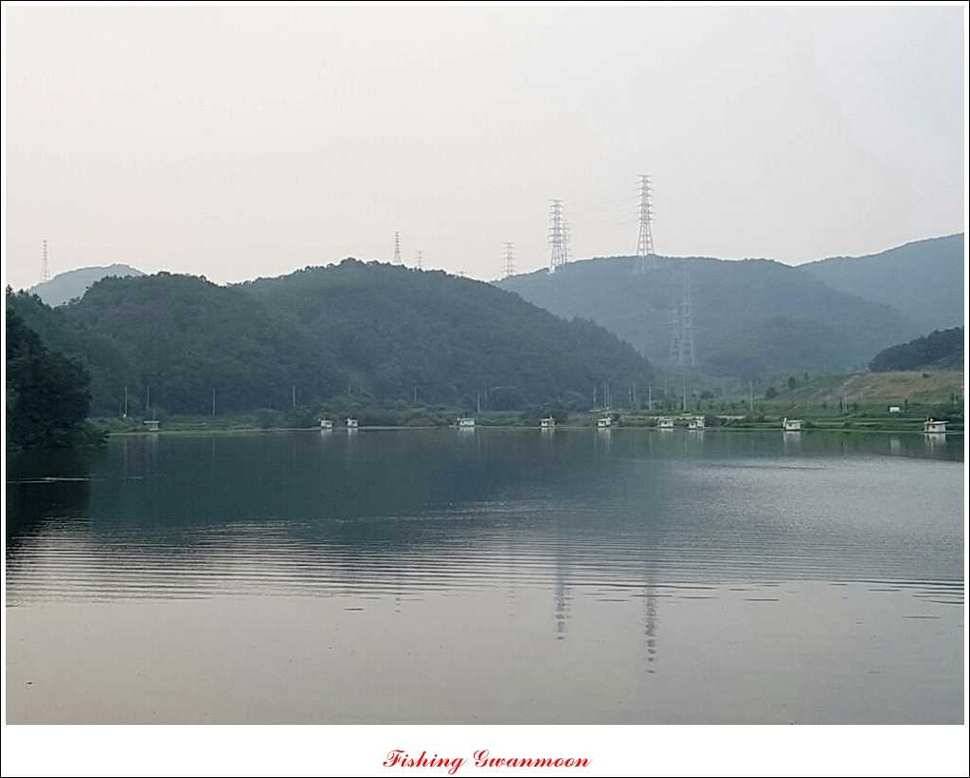 대류 한버들화곡지 조황 (조황조행기 - 특파원조황)