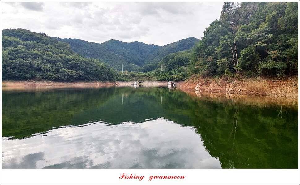 돌감늘푸른달천강 조황 및 소류지 사짜 (조황조행기 - 특파원조황)
