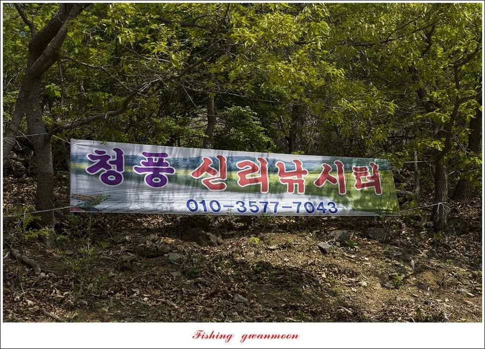 충주호 사짜 대박칠성지 사짜 (조황조행기 - 특파원조황)