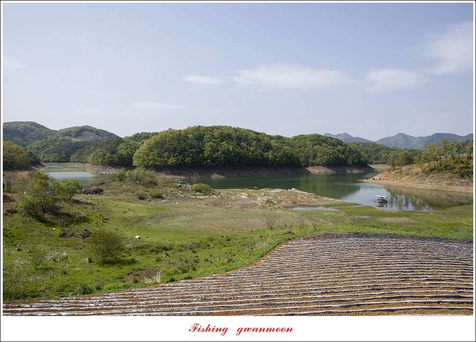 충주호 사짜 대박칠성지 사짜 (조황조행기 - 특파원조황)