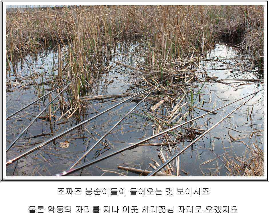 현재 시기기준으로 바닥낚시포인트 선정을 한다면 (월척지식 - 대물낚시)