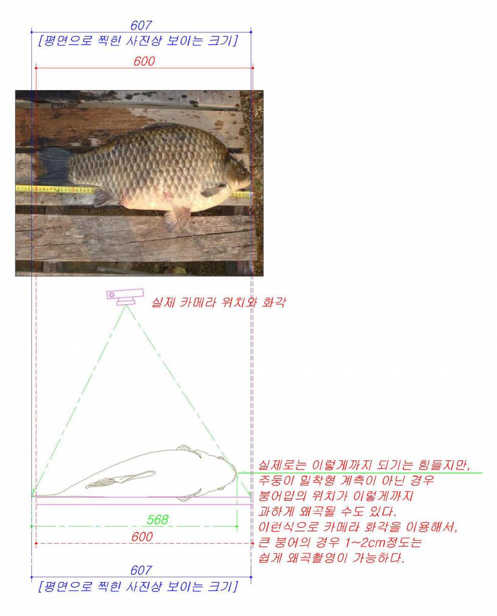 인증사진에 관련하여 (월척지식 - 대물낚시)