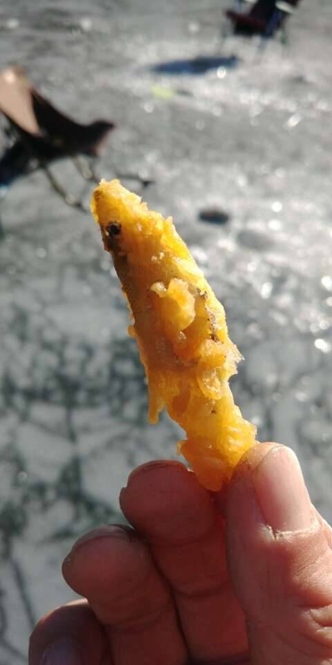 안녕하세요 (조황조행기 - 모바일간편조행)