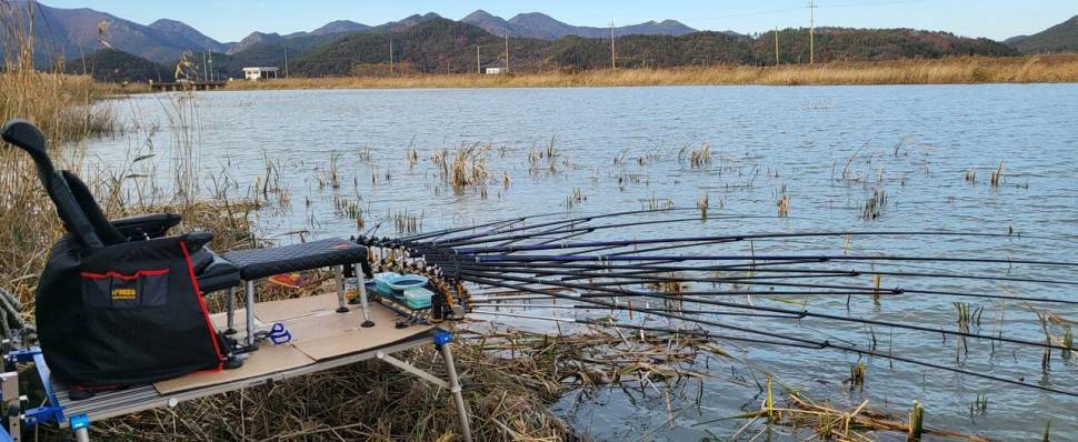 해창만수로 1129122일 현재까지 실시간 (조황조행기 - 모바일간편조행)