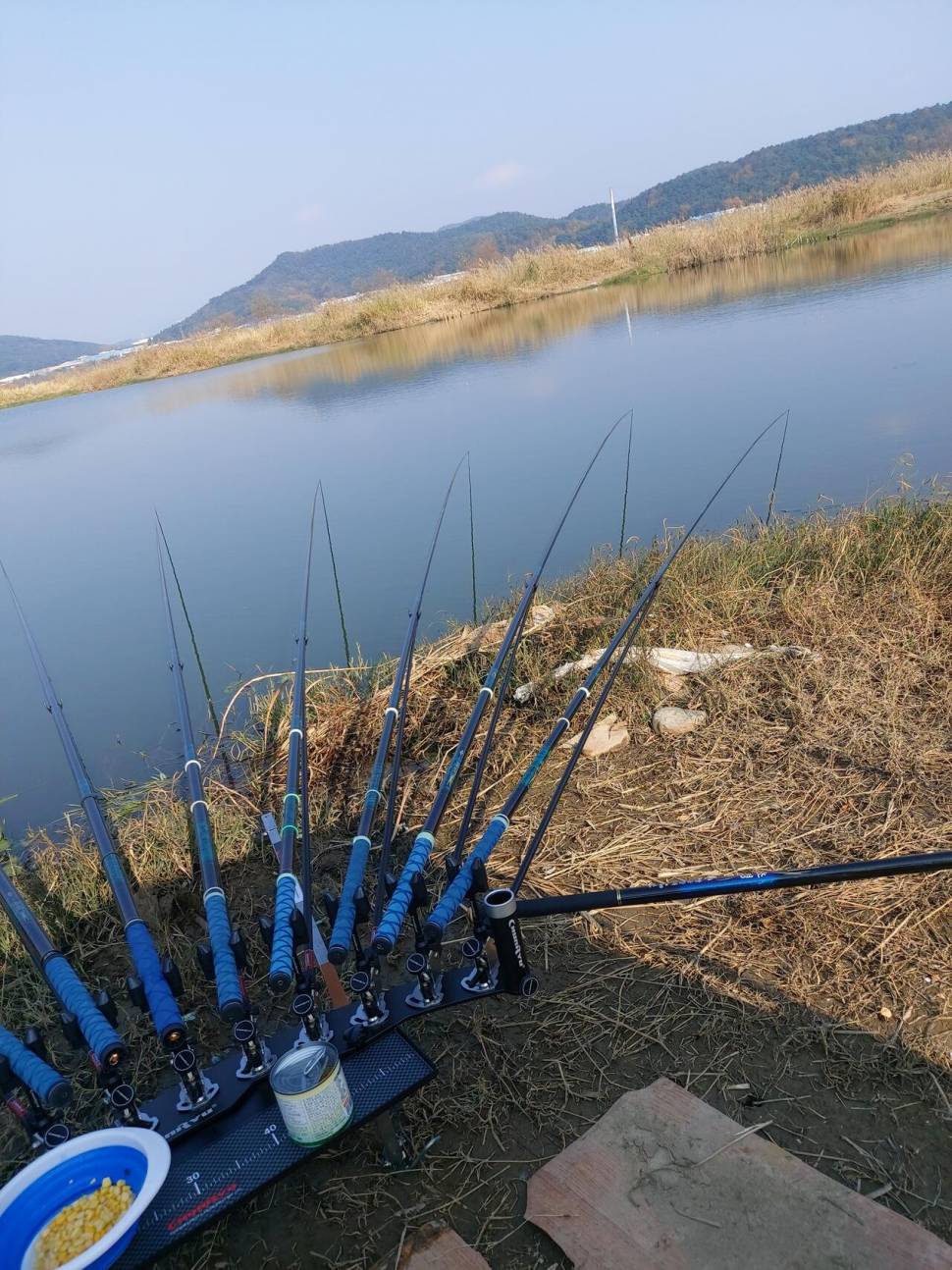 날씨가 너무 좋아요 (조황조행기 - 모바일간편조행)