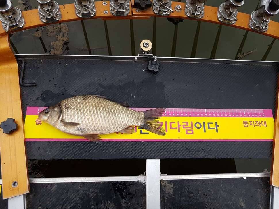 서산음암지 (조황조행기 - 모바일간편조행)