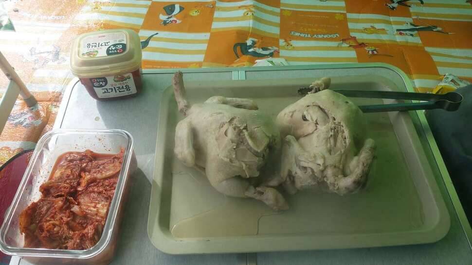 전남에서 (조황조행기 - 모바일간편조행)