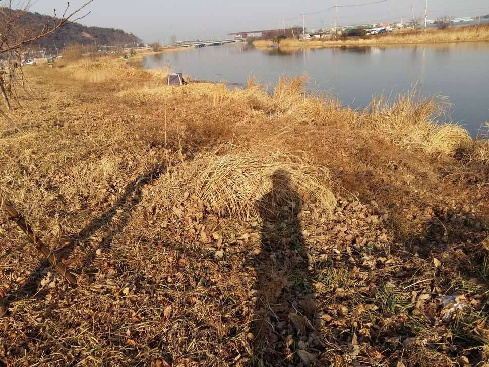 수로 (조황조행기 - 모바일간편조행)