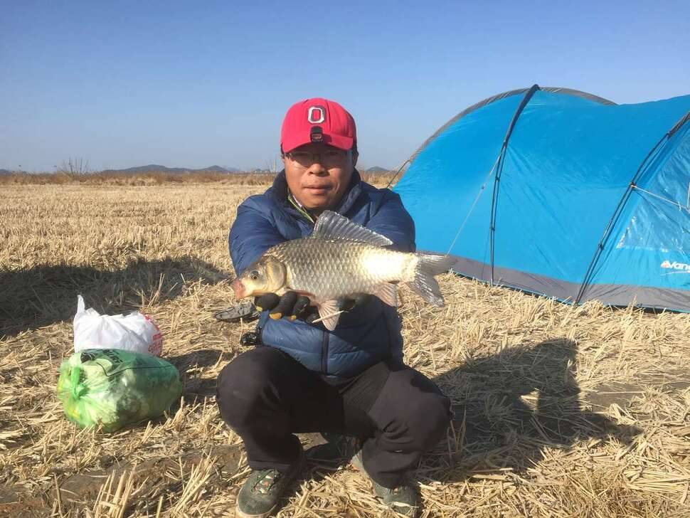 새해첫붕어입니다 (조황조행기 - 모바일간편조행)