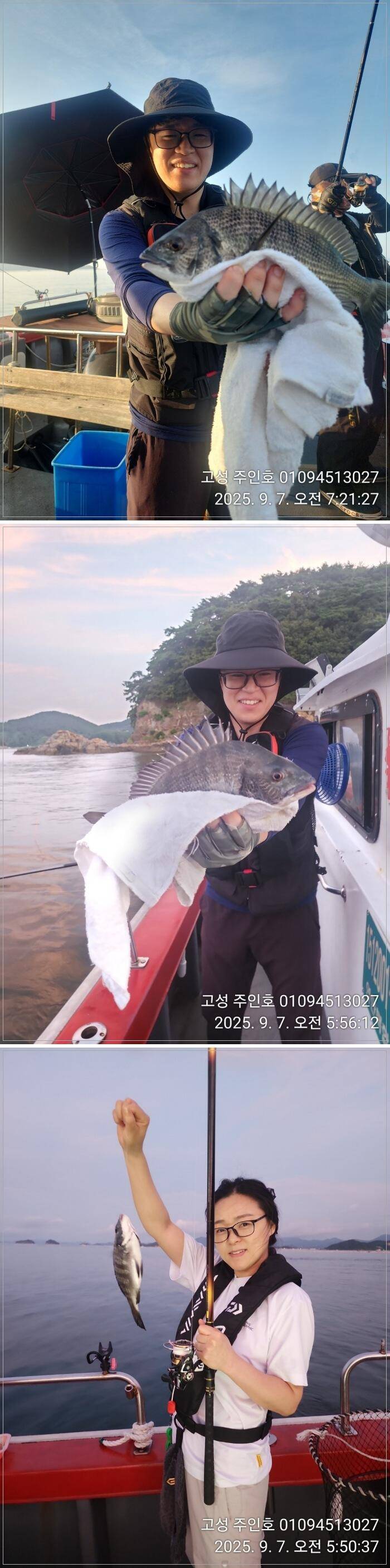 경남고성 주인호주인호 일요일 감성돔 마릿수조황 (조황조행기 - 바다선상조황)