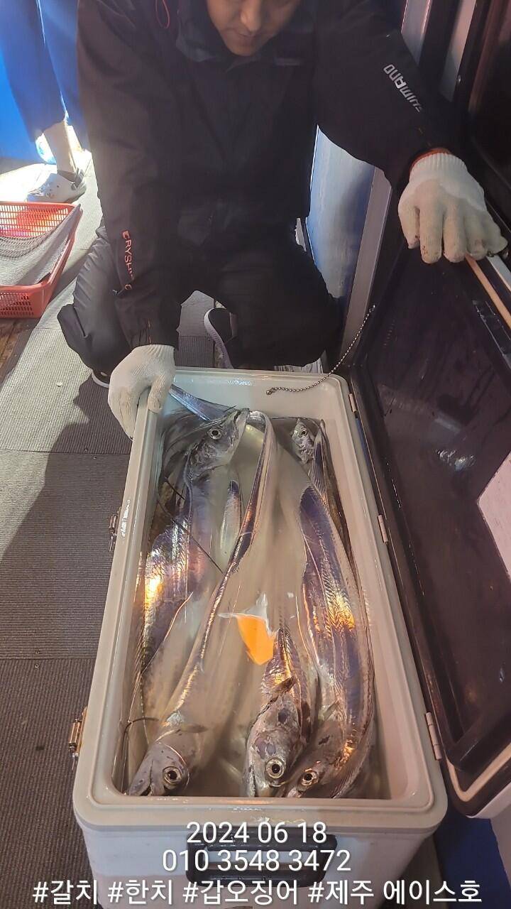 제주에이스호17일갈치 한치 조황입니다문의010 3548 3472010 3860 3472 (조황조행기 - 바다선상조황)