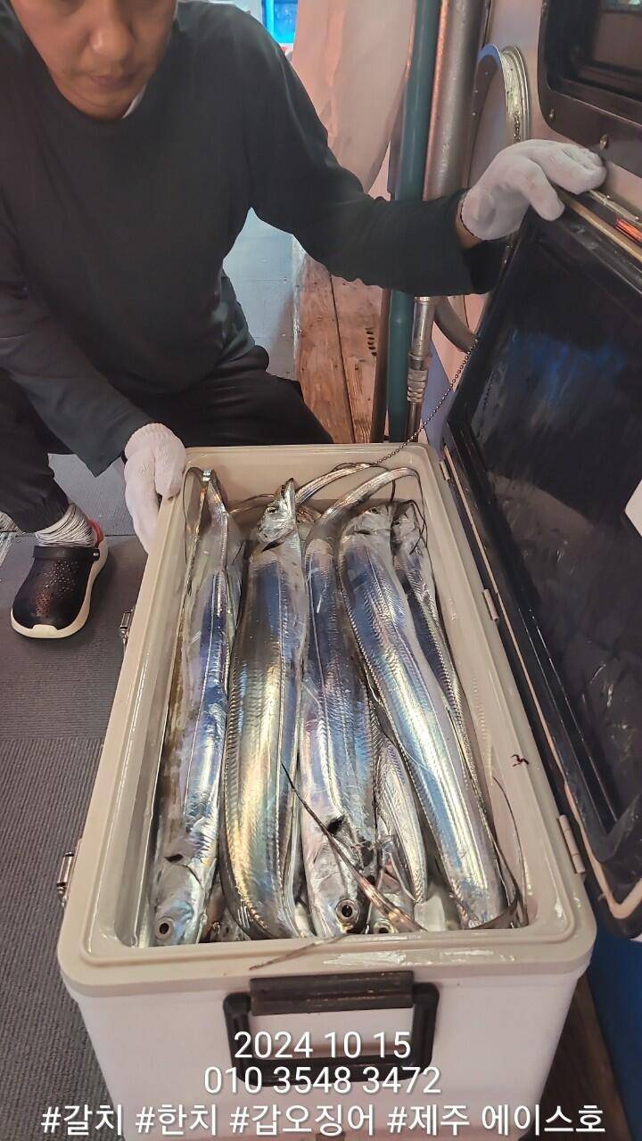 제주에이스호14일대갈치조황입니다문의010 3548 3472010 3860 3472전좌석봉돌투승기장착977톤12석운영 (조황조행기 - 바다선상조황)