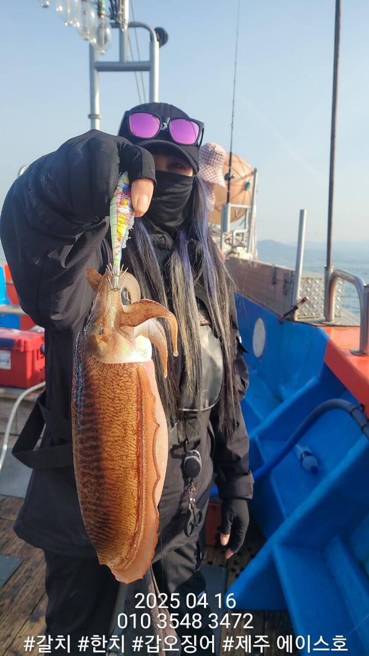 제주에이스호4월16일심해갑오징어조황입니다010 35483472010 3860 3472977톤22인승16석운영 (조황조행기 - 바다선상조황)