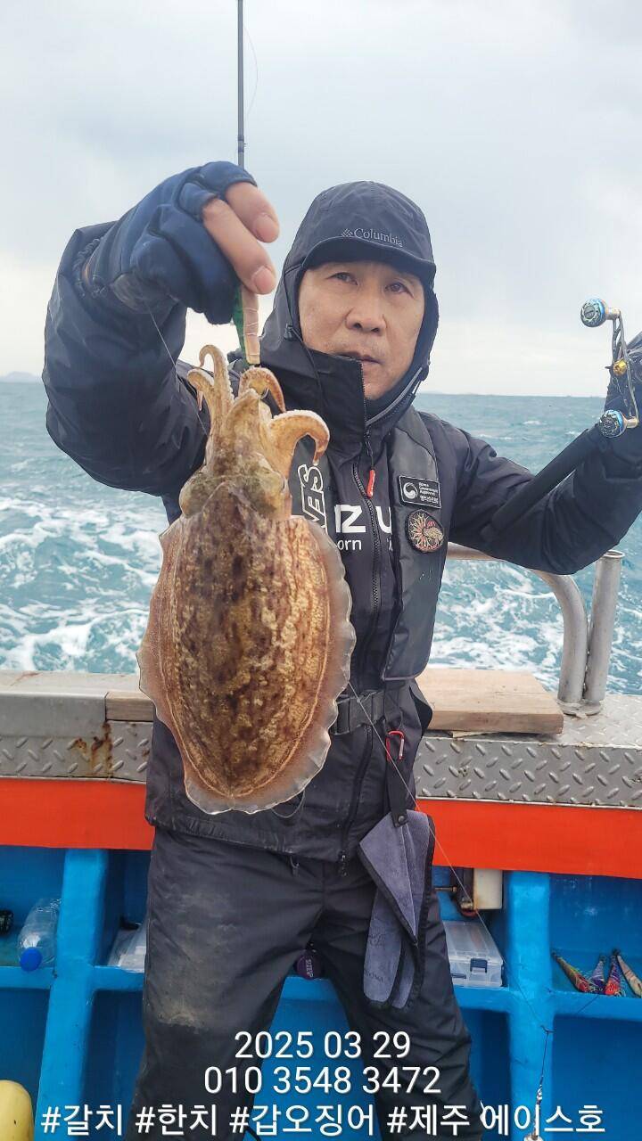 제주에이스호3월29일심해갑오징어조황입니다010 35483472010 3860 3472977톤22인승16석운영 (조황조행기 - 바다선상조황)