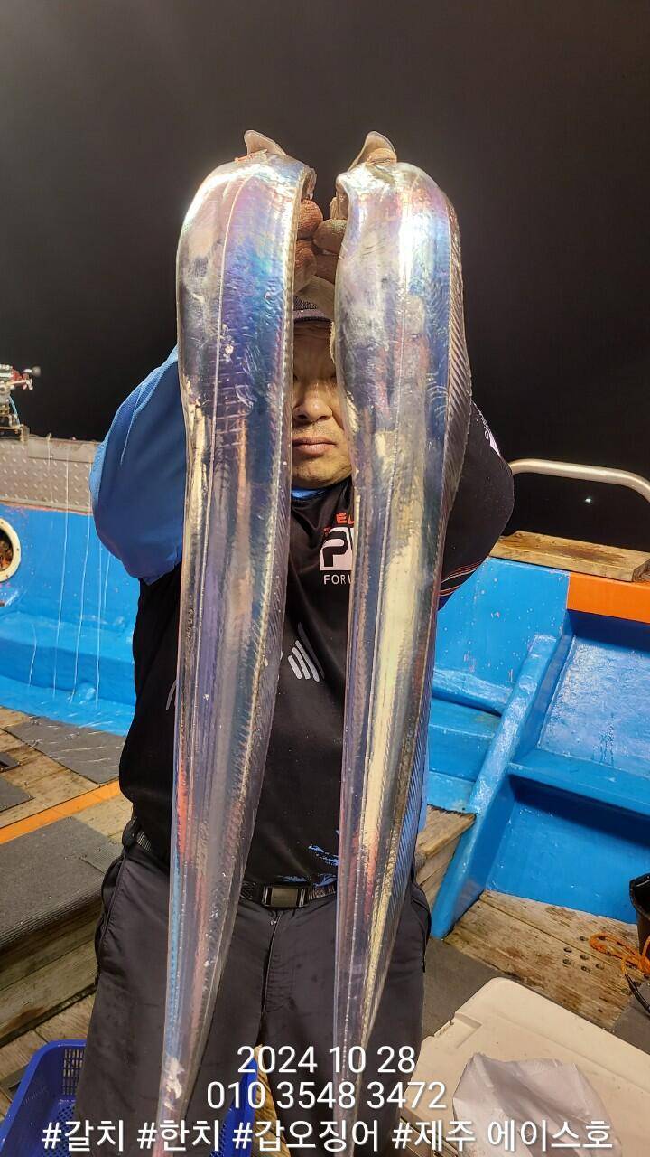제주에이스호28일대갈치조황입니다문의010 3548 3472010 3860 3472전좌석봉돌투승기장착977톤12석운영합니다 (조황조행기 - 바다선상조황)