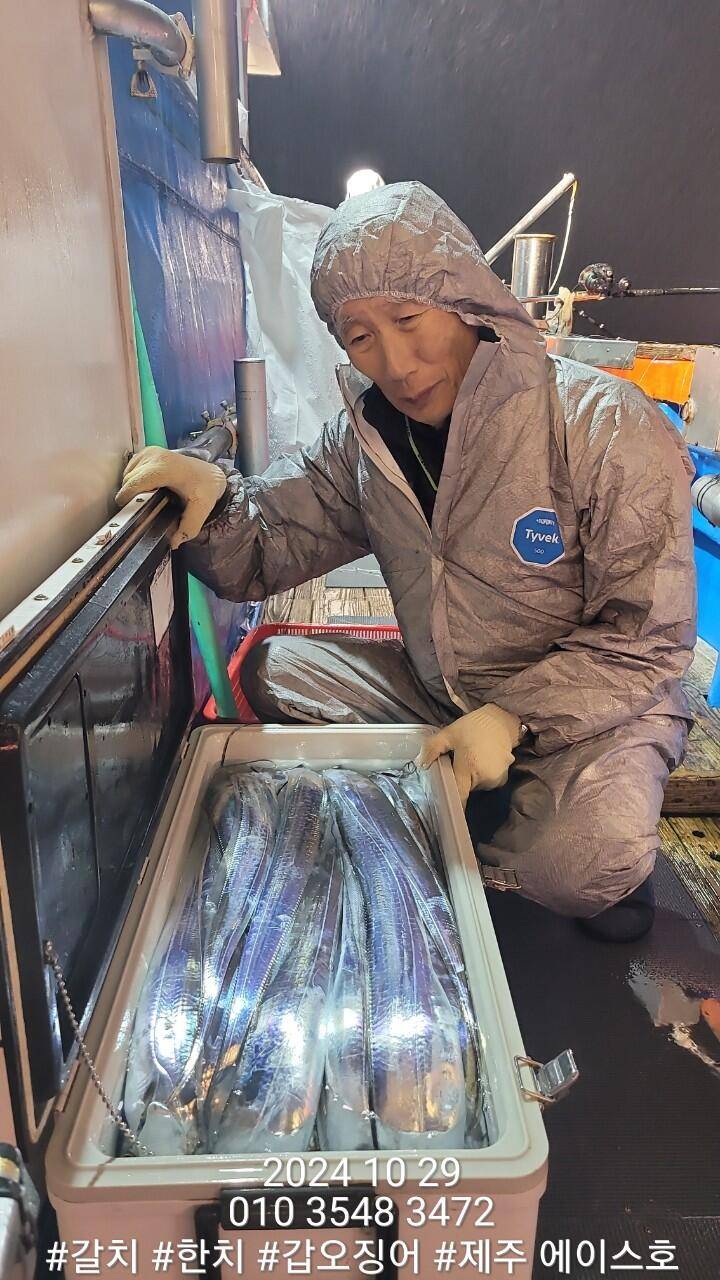 제주에이스호28일대갈치조황입니다문의010 3548 3472010 3860 3472전좌석봉돌투승기장착977톤12석운영합니다 (조황조행기 - 바다선상조황)