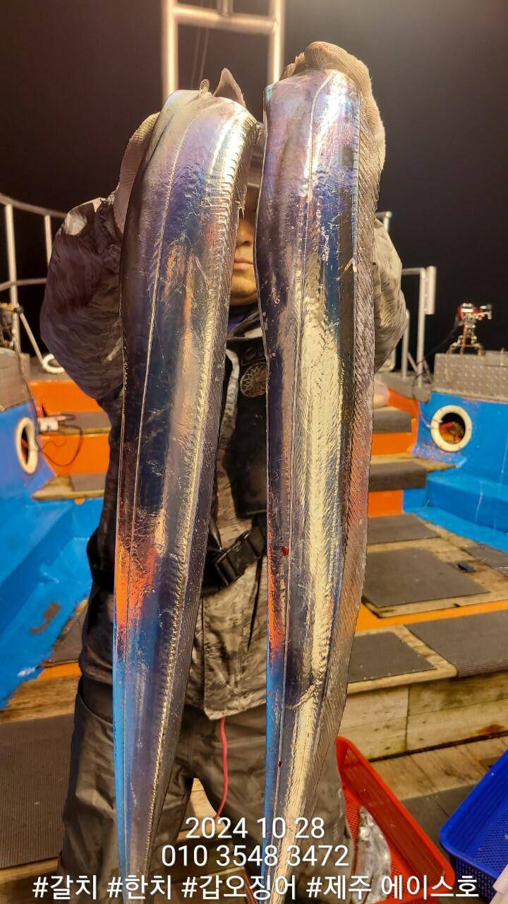 제주에이스호28일대갈치조황입니다문의010 3548 3472010 3860 3472전좌석봉돌투승기장착977톤12석운영합니다 (조황조행기 - 바다선상조황)