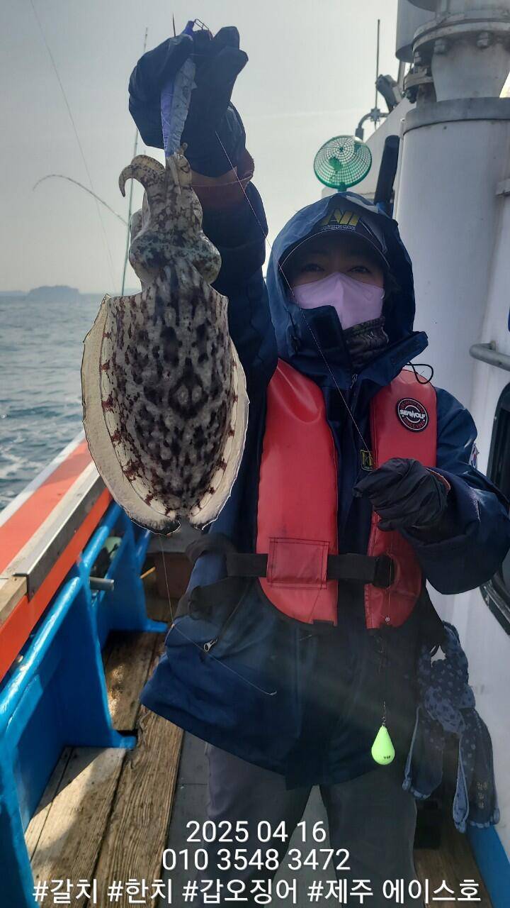 제주에이스호4월16일심해갑오징어조황입니다010 35483472010 3860 3472977톤22인승16석운영 (조황조행기 - 바다선상조황)