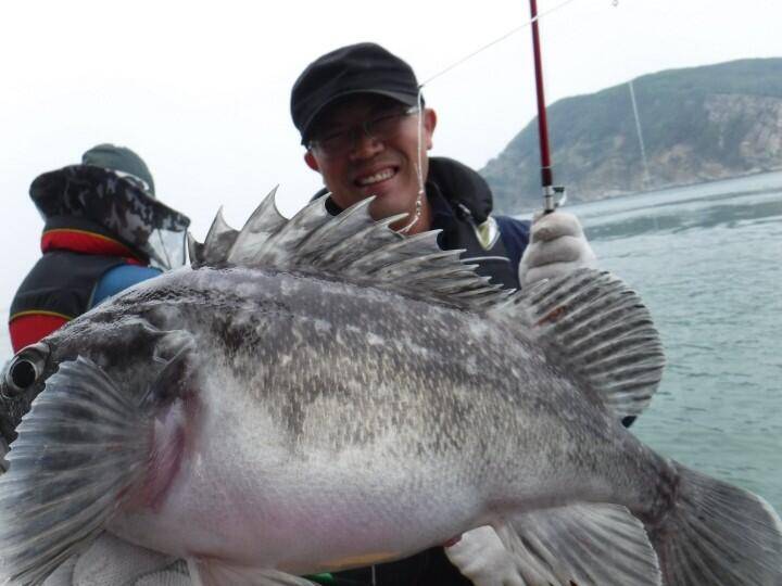 인천★´″덕적도심해먼바다 개우럭대형광어 4080m청정해역 어초침선 매일출조 (조황조행기 - 바다선상조황)
