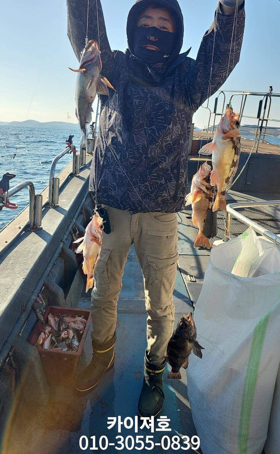 금 오전 볼락열기 외줄 모집중 입니다 (조황조행기 - 바다선상조황)